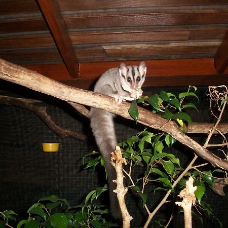Forest Lodge: Little Villa أغنيس ووتر المظهر الخارجي الصورة