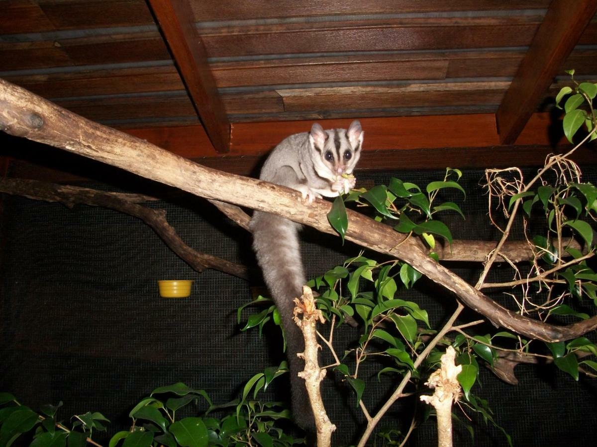 Forest Lodge: Little Villa أغنيس ووتر المظهر الخارجي الصورة